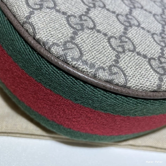 Hyperpeter GG mini Ophidia GUCCI bag 0813